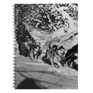 Carnet Vintage Alaska eskimo Malamute course de traîneau