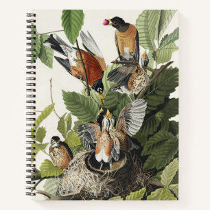 Carnet Vintage Audubon Merle d'Amérique Art du Nid d'Oise