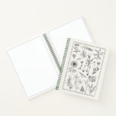 Carnet Vintage Botanique Flora Moth Hardcover (Intérieur)