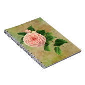 Carnet Vintage Camellia Botanique (Côté Droit)