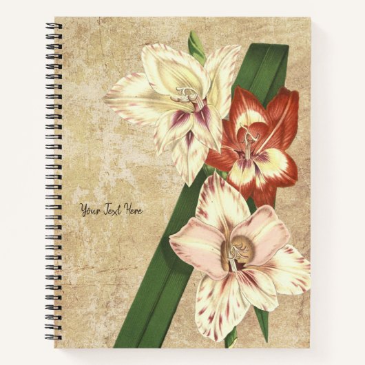 Carnet vintage de Gladioli (Devant)