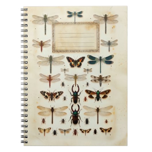 Carnet Vintage Dragonfly Beetle Taxonomy Specimen Chart (Devant)