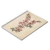 Carnet Vintage fleur d'amandes végétales (Côté gauche)