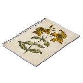 Carnet Vintage florale St. John's Wort (Côté gauche)