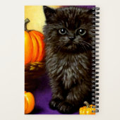 Carnet Vintage Halloween Kitten (Verso)