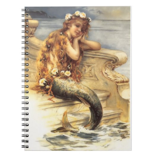 Carnet Vintage Little Mermaid (Devant)