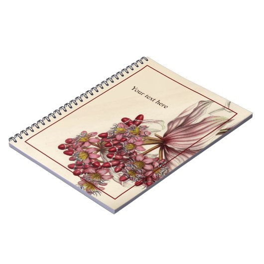 Carnet vintage Medinilla Magnifica (Côté gauche)