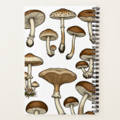 Carnet Vintage Mushrooms (Verso)
