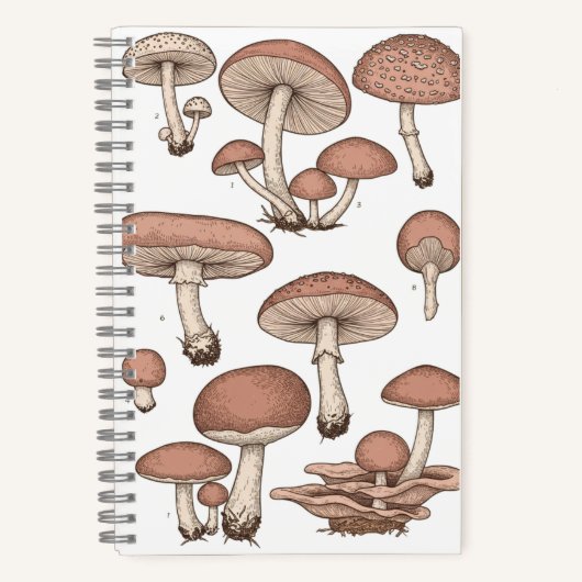 Carnet Vintage Mushrooms Notebook (Recto)