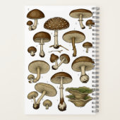 Carnet Vintage Mushrooms Notebook (Verso)