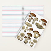 Carnet Vintage Mushrooms Notebook (À l'intérieur)