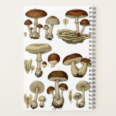 Carnet Vintage Mushrooms Notebook (Verso)