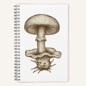 Carnet Vintage Mushrooms Notebook (Recto)