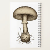 Carnet Vintage Mushrooms Notebook (Verso)