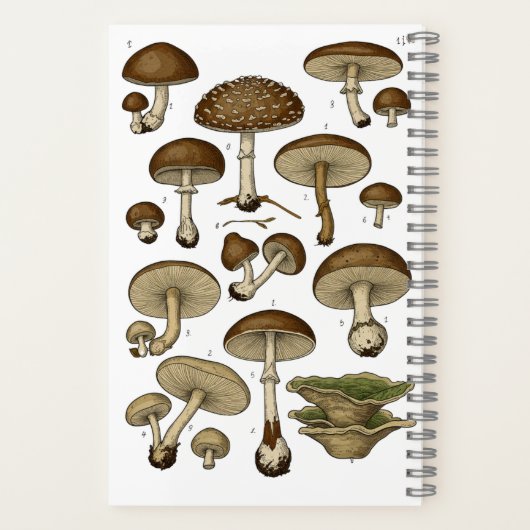 Carnet Vintage Mushrooms Notebook (Verso)