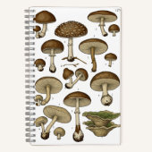 Carnet Vintage Mushrooms Notebook (Recto)