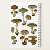 Carnet Vintage Mushrooms Notebook  (Verso)