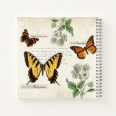 Carnet Vintage papillon Swallowtail Monarch dame peinte (Dos)
