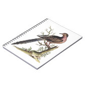Carnet Vintage Passenger Pigeon Illustration  (Côté gauche)