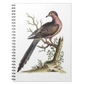 Carnet Vintage Passenger Pigeon Illustration  (Devant)