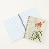 Carnet Vintage Rosa Longifolia (Intérieur)