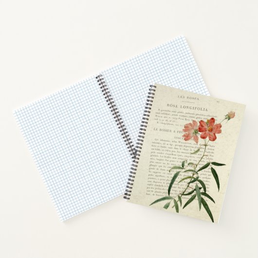 Carnet Vintage Rosa Longifolia (Intérieur)