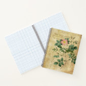 Carnet Vintage Rosa malmundariensis (Intérieur)