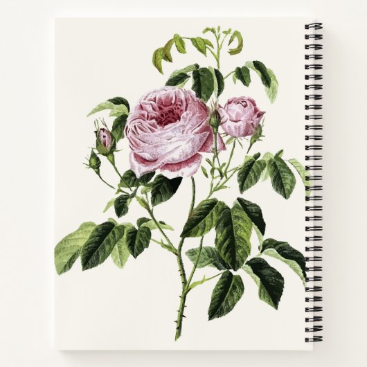 Carnet Vintage rose Timeless (Dos)