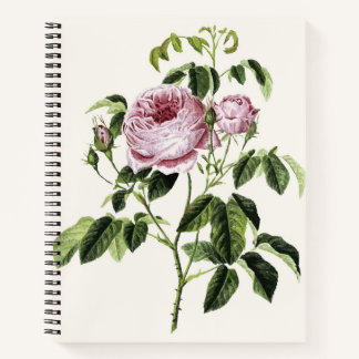 Carnet Vintage rose Timeless