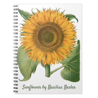 Carnet Vintage Sunflower Flower by Basilius Besler