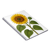 Carnet Vintage Sunflower transparent background (Côté Droit)