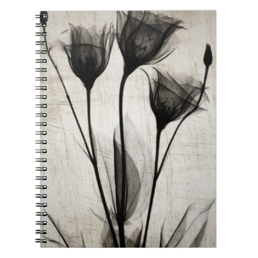 Carnet Vintage X-Ray Flowers (Devant)