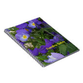 Carnet Violas Violets Dans Un Conteneur De Jardin (Côté Droit)