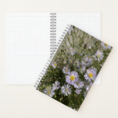 Carnet Violet Asters (À l'intérieur)