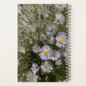 Carnet Violet Asters (Verso)
