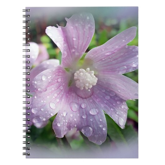 Carnet Violet clair (Devant)