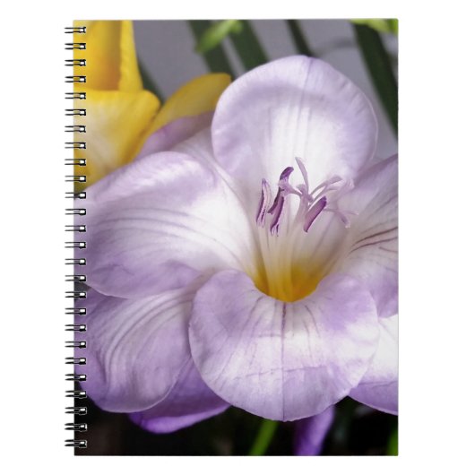 Carnet violet freesia (Devant)