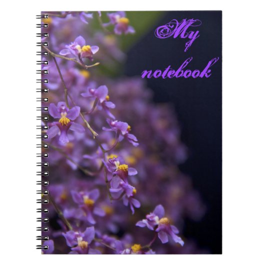 Carnet violet orchidée (Devant)