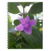 Carnet Violet pourpre philippin (Devant)