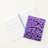 Carnet violets (Intérieur)