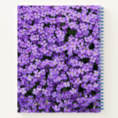 Carnet violets (Dos)