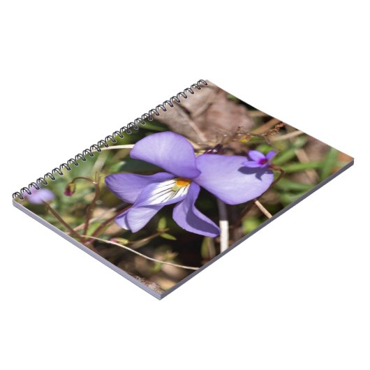 Carnet Violette de pied-d'oiseau avec Bluets (Côté gauche)