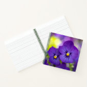 Carnet Violons violets (Intérieur)