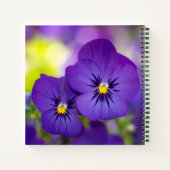 Carnet Violons violets (Dos)