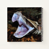 Carnet Vipère gabonais (Dos)