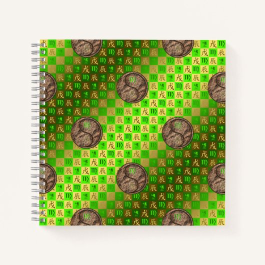 Carnet Virgo & Earth Dragon (Devant)