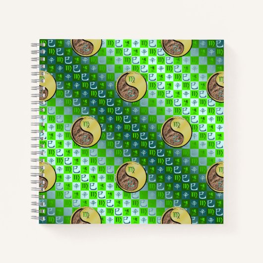 Carnet Virgo & Metal Snake (Devant)