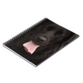 Carnet Visage de chien noir (Côté gauche)