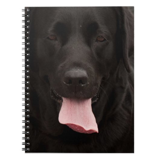 Carnet Visage de chien noir (Devant)