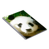 Carnet Visage de panda (Côté Droit)